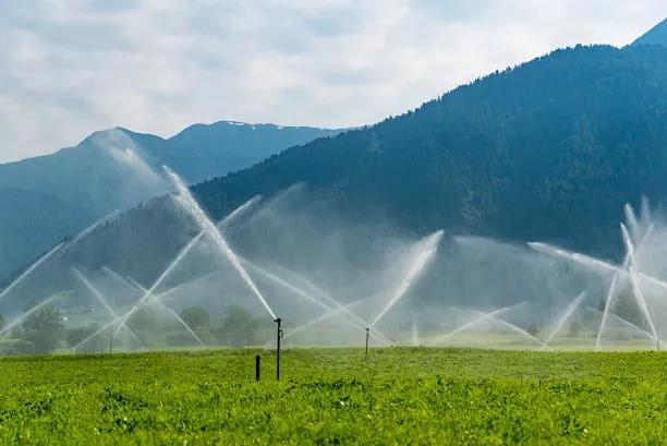 鋪設(shè)滴灌管時(shí)我們應(yīng)該注意什么？